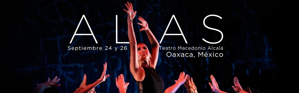 Lizt Alfonso Dance Company, ALAS